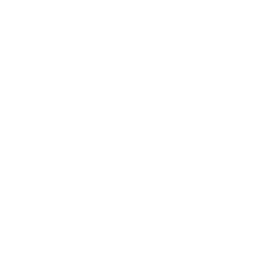Level99 Partner Logo 4d1d0490-d9e9-4b85-9141-9fe9bbf2c5cf